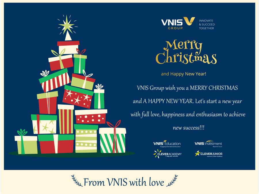 VNIS Group
